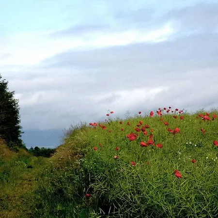 Freya - Huus Asgard Comfortable 別荘 Nieby (Nieby, Schleswig-Flensburg)